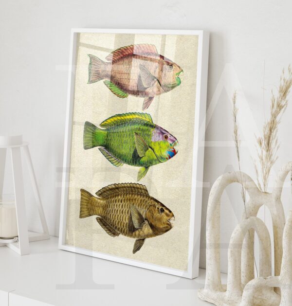 Colorful Vintage Parrotfish - Image 6